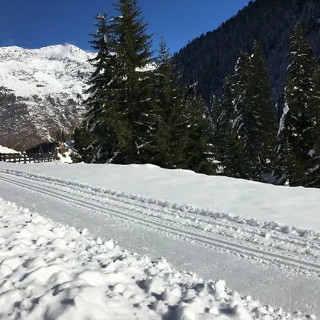 Alpenspirit *