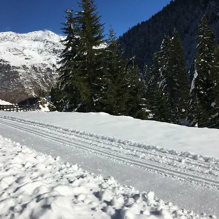 Alpenspirit *