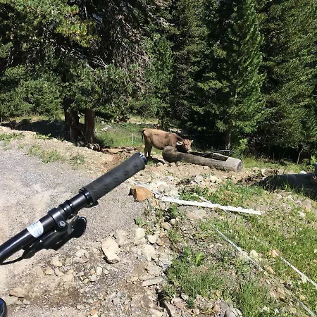 Alpenspirit Lägenhet