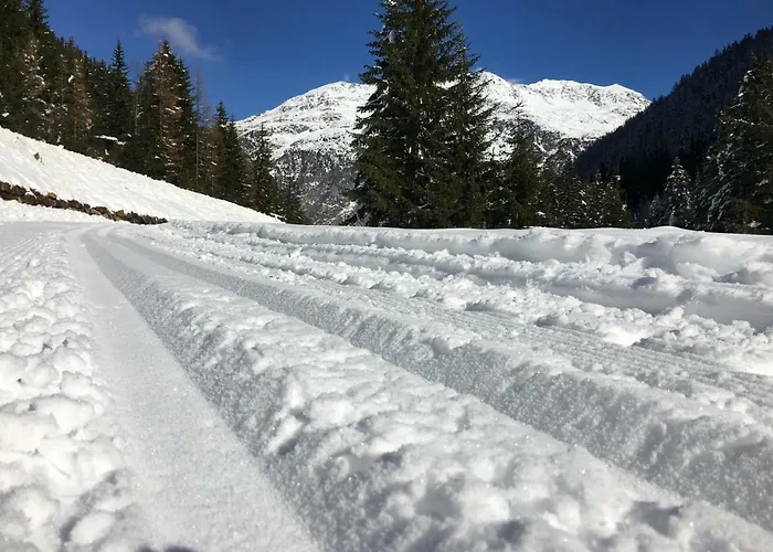 Apartamento Alpenspirit *